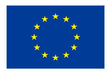 Set The Tone project is funded by the European Union's Rights, Equality and Citizenship Programme (2014-2020)